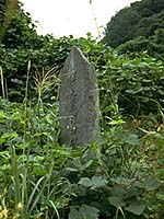 餅九蔵植林記念碑