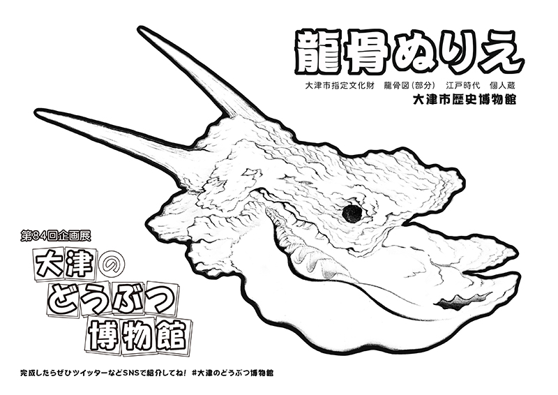 ʂ肦@イ